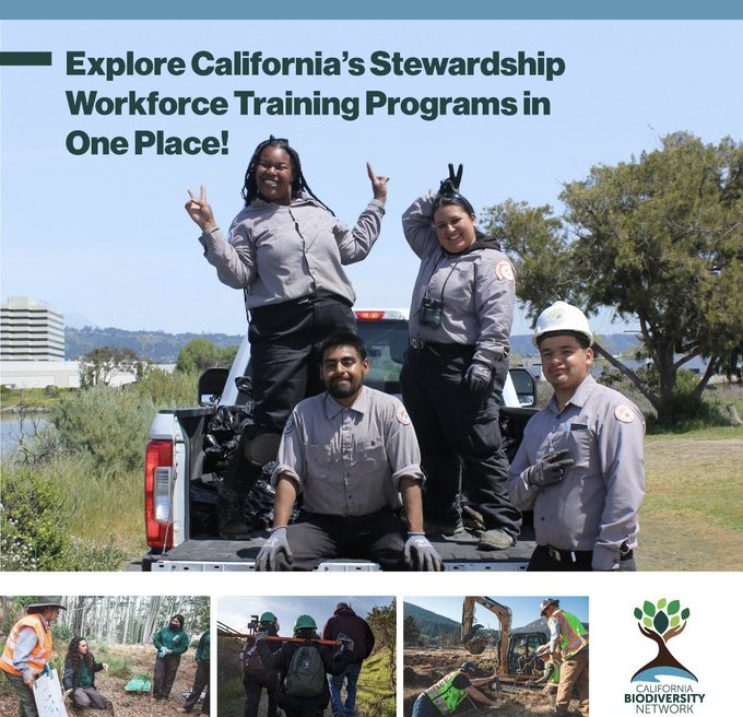 Stewardship Opportunities