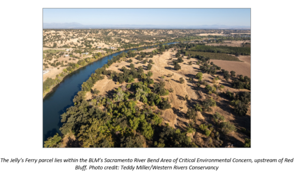 An aerial photo of The Jelly’s Ferry parcel lies within the BLM’s Sacramento River Bend Area of Critical Environmental Concern, upstream of Red Bluff.