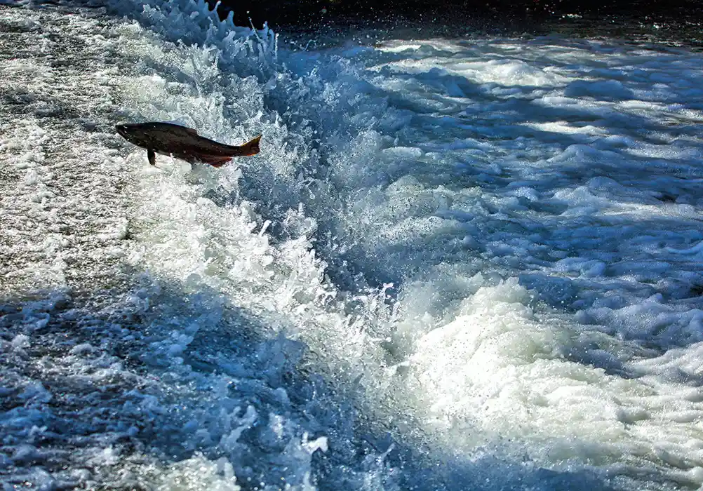 Water: The Key to Life in the Valley
