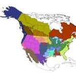 Map of North American Migratory Bird Joint Ventures