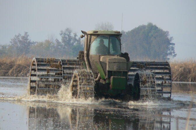 Delta Rice Benefits Farmers, Wildlife, Communities and Climate