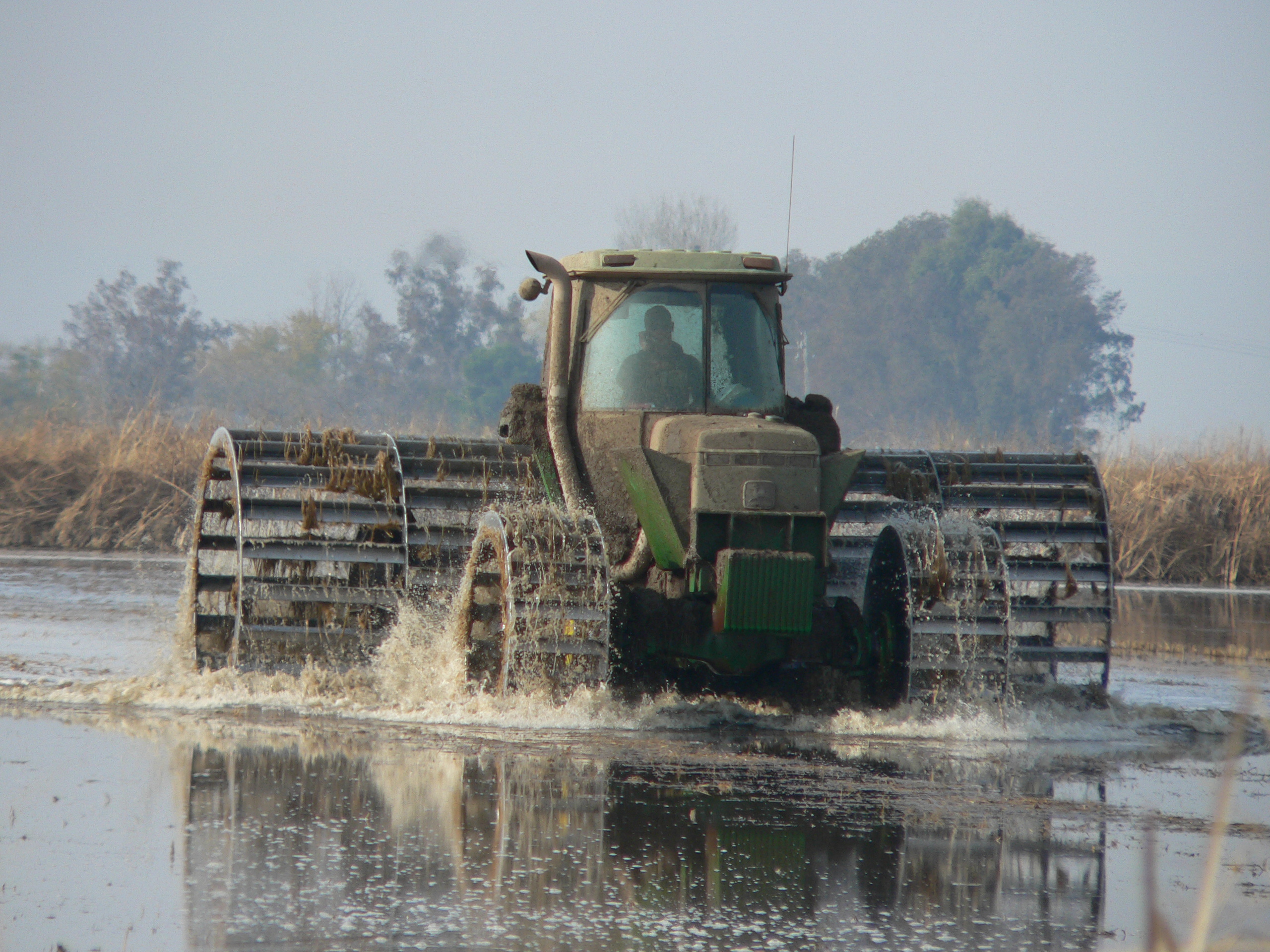 Delta Rice Benefits Farmers, Wildlife, Communities and Climate
