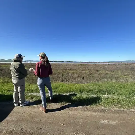 BirdReturns staff consults with a landowner in the program. Jesirae Collins, Suisun Resource Conservation District