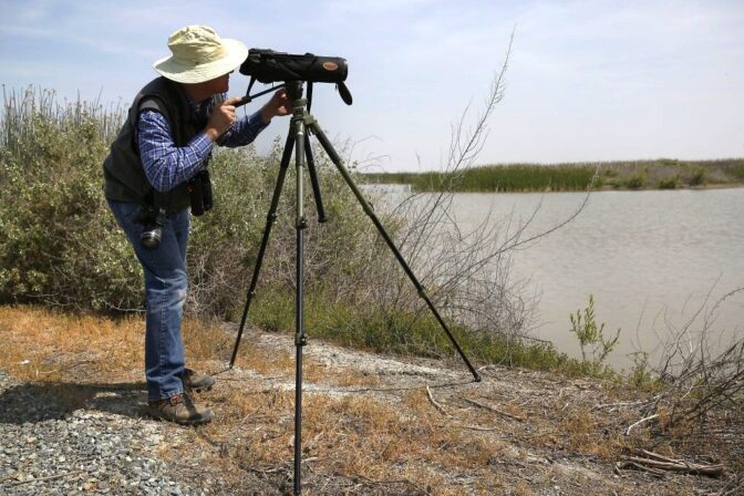 Birdwatcher Data Powers Effective Conservation