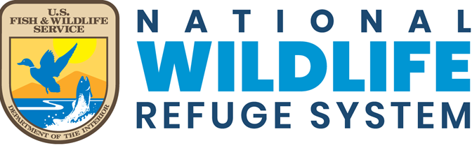 National Survey Shows Why Refuges Matter for Bird Watchers, Hunters, and Local Economies