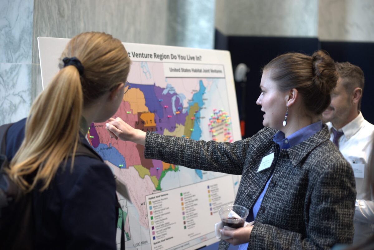 Migratory Bird Joint Ventures Celebrate 40 Years of Conservation Work